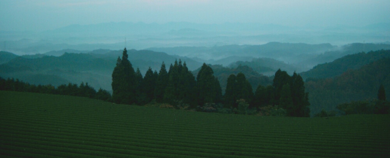 NISHI CHA Organic Matcha Cafe, Kuala Lumpur